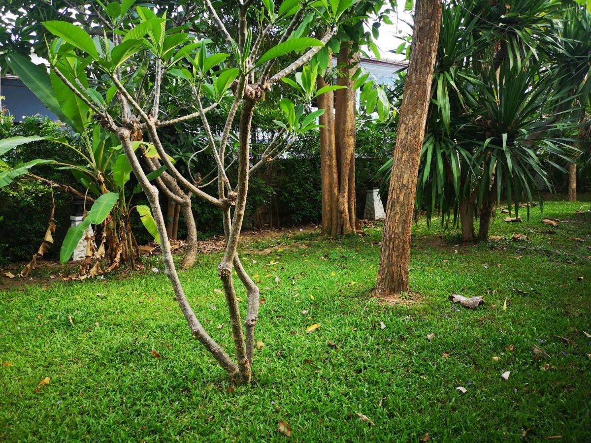Kao Tao Villa Beach Resort-Hua Hin Koh Tao Eksteriør billede
